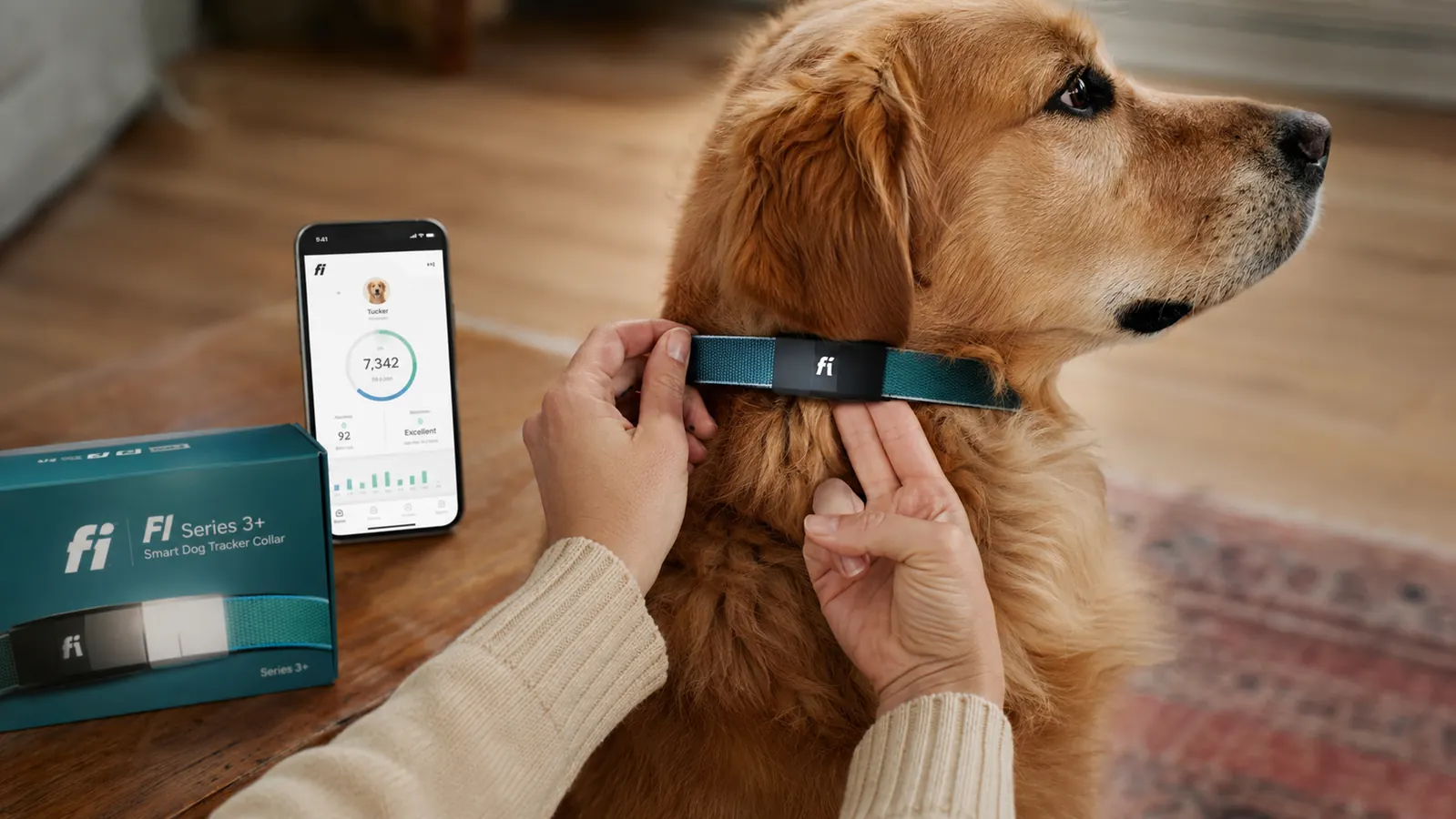 Person adjusting a smart dog collar to fit two fingers under the band on a medium-sized dog