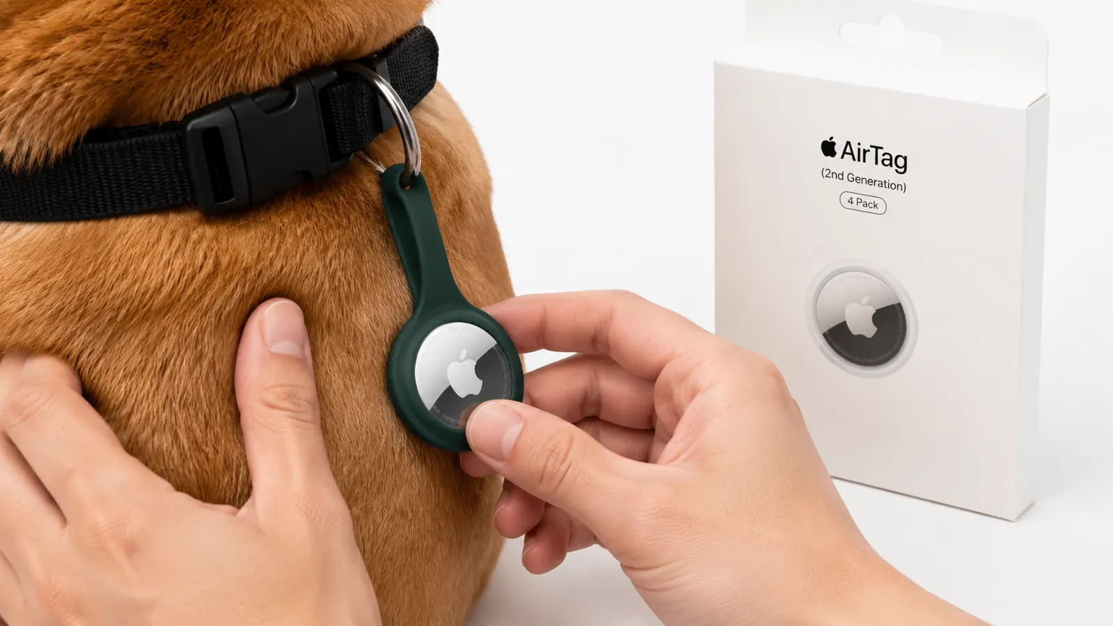 Apple AirTag mounted inside a loop-style collar holder attached to a dog collar